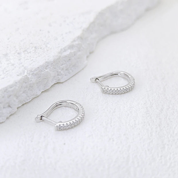 Moissanite Ear Hoop Earrings