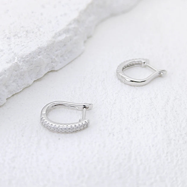 Moissanite Ear Hoop Earrings
